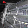 automatic layer poultry cages